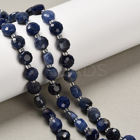 Natural Sodalite Beads Strands G-B153-B11-1