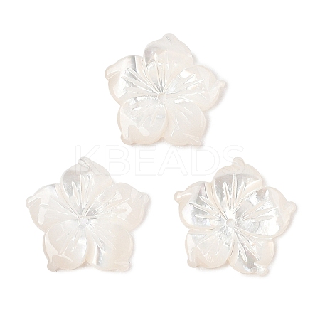 Natural White Shell Carved Beads SSHEL-I026-12E-06-1