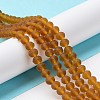 Transparent Glass Beads Strands EGLA-A034-T8mm-MD02-2