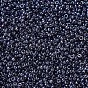 MIYUKI Round Rocailles Beads SEED-G007-RR0171-3