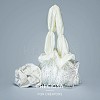 Preciosa® MAXIMA Crystal No Hotfix Flatback Stones Y-PRC-NSS8-31110-200-5