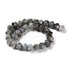 Natural Labradorite Beads Strands G-I194-46-3
