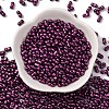 Baking Paint Glass Seed Beads SEED-L011-12A-13-2