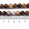 Natural Mexico Crazy Agate Beads Strands X-G-L615-A01-02-5