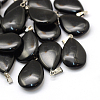 Teardrop Natural Black Stone Pendants G-Q368-13-1
