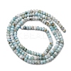 Natural Larimar Beads Strands G-F803-B01-01-3