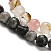 Natural Wood Lace Stone/Blue Spot Jasper/Black Netstone/Opal/Cherry Blossom Glass Beads Strands G-P562-C-02-4