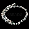 Natural Tree Agate Beads Strands G-Z111-A46-5