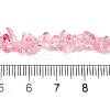 Transparent Glass Beads Strands GLAA-P060-01C-17-4