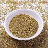 MIYUKI Delica Beads X-SEED-J020-DB1832-2