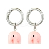 12Pcs 6 Style Animal Resin Pendant Shoe Charms HJEW-DR00001-2