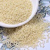 MIYUKI Round Rocailles Beads SEED-G007-RR0486-1