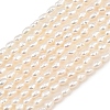 Natural Cultured Freshwater Pearl Beads Strands PEAR-F020-17-2