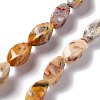 Natural Crazy Lace Agate Beads Strands G-L243A-20-1