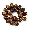 Natural Tiger Eye Beads Strands G-F796-B02-01-3