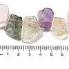 Natural Amethyst & Quartz Crystal & Rose Quartz & Prehnite & Citrine Beads Strands G-P528-K02-01-4