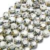 Natural Sesame Jasper Beads Strands G-C116-A141-01-2