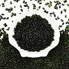 Picasso Spray Painted Glass Seed Beads SEED-T006-04-17-1