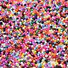 Baking Paint Glass Seed Beads SEED-S042-05B-48-3