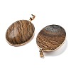 Electroplate Natural Picture Jasper Pendants KK-F882-06G-02-2