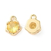 Brass Micro Pave Cubic Zirconia Charms KK-L208-10G-04-1