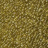 6/0 Glass Seed Beads SEED-A006-4mm-110-2