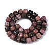 Natural Rhodonite Beads Strands G-N353-06A-10-3