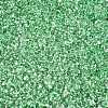 6/0 Baking Paint Transparent Fringe Glass Seed Beads X1-SEED-N006-06K-3