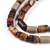 Natural Picasso Jasper/Polychrome Jasper Beads Strands G-N346-01B-05-4