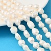Natural Cultured Freshwater Pearl Beads Strands PEAR-P064-19K-02B-1