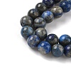 Natural Lapis Lazuli Beads Strands G-A163-07-8mm-5