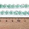 Crackle Transparent Glass Beads Strands GLAA-N068-02A-04-5