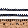 Natural Sodalite Bead Strands G-P279-58-3mm-01-5