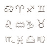 24Pcs 2 Sets Zinc Alloy Jewelry Pendant Accessories FIND-FW0001-08P-2