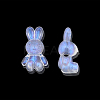 Transparent Acrylic Beads OACR-N008-172F-4