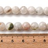 Natural White Moonstone Beads Strands LS-G-I388-01-8mm-5