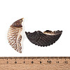 Natural Black Lip Shell Carved Pendants SSHEL-N041-06-3
