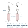 Natural Gemstone Dangle Earrings EJEW-JE04255-4