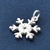925 Sterling Silver Pendants LS-FIND-Z069-04S-B-3