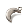 304 Stainless Steel Charms LS-STAS-D310-06P-02-2