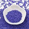 Baking Paint Glass Seed Beads SEED-S042-05B-74-2
