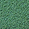 MIYUKI Round Rocailles Beads SEED-X0054-RR0411FR-4