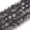 Natural Sesame Jasper/Kiwi Jasper Beads Strands G-F545-C10-1