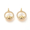 Brass Micro Pave Clear Cubic Zirconia Charms ZIRC-L098-025G-1