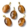 Natural Mixed Gemstone Pendants G-E603-03G-2