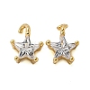 Rack Plating Brass Micro Pave Clear Cubic Zirconia Charms KK-Z045-13G-1