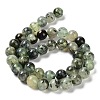 Natural Prehnite Beads Strands X-G-P322-48-10mm-01-3