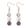 Round Natural Amethyst Dangle Earrings EJEW-JE06778-03-2