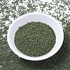 MIYUKI Delica Beads X-SEED-J020-DB1135-2