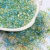 Glass Seed Beads SEED-L011-05B-02-1